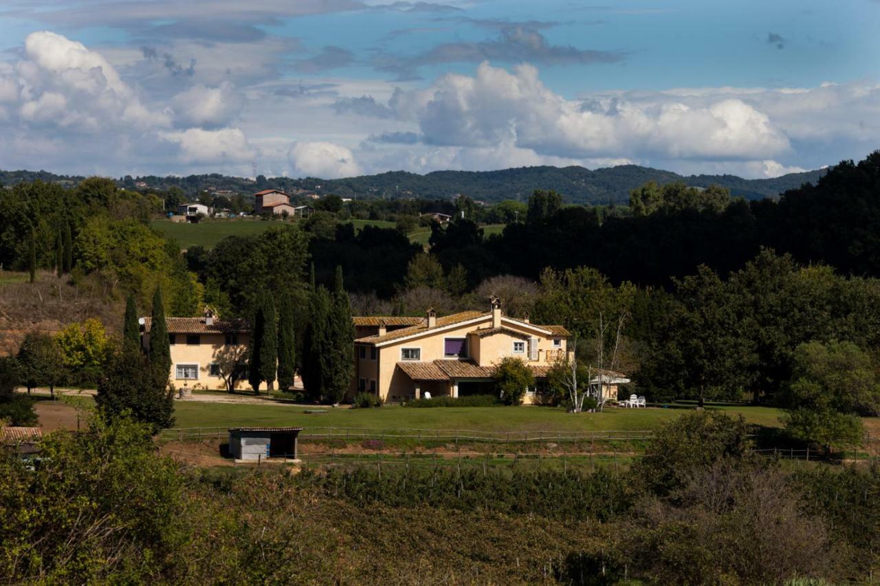 Borgo Del Gelso Bed & Breakfast Olgiata Eksteriør bilde